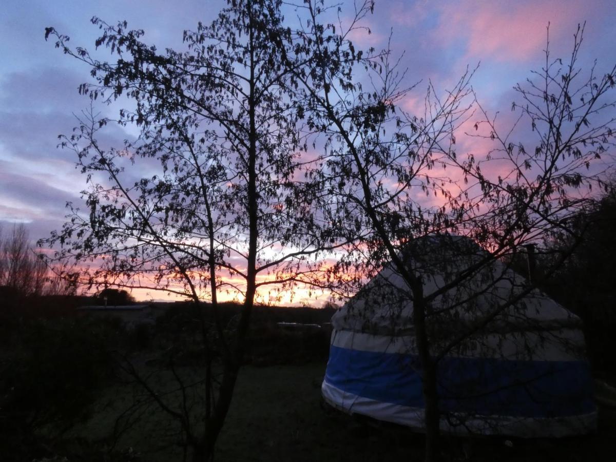 Inch Hideaway Eco Camping Whitegate  Kültér fotó