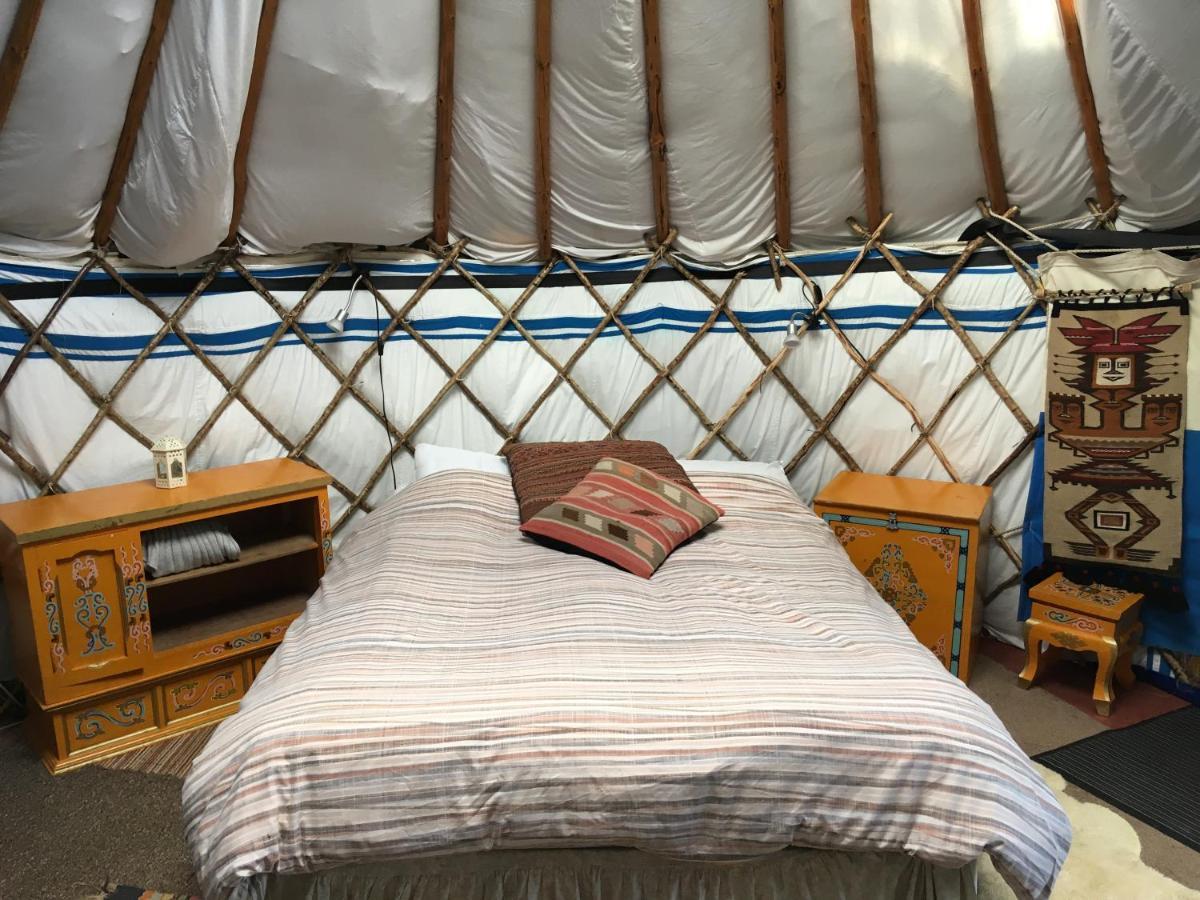 Inch Hideaway Eco Camping Whitegate  Kültér fotó