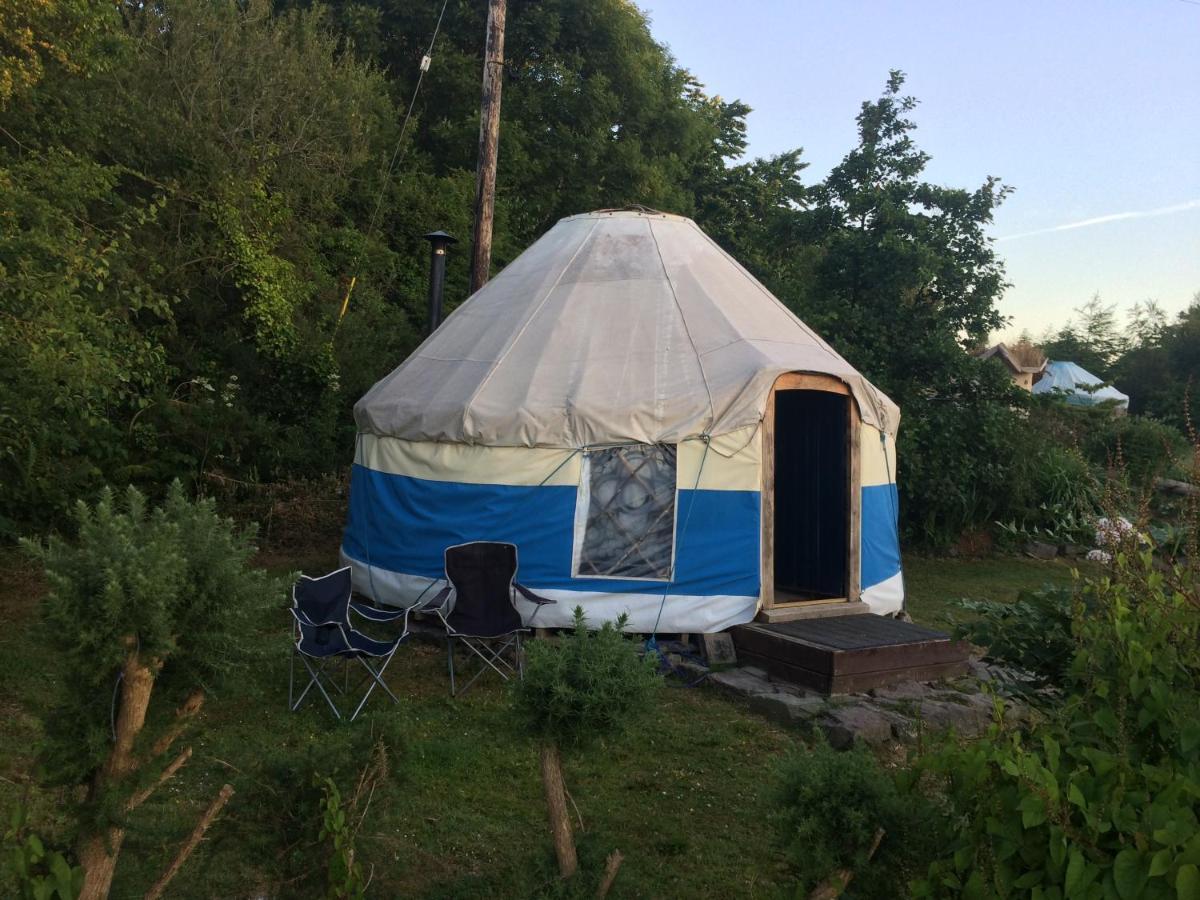 Inch Hideaway Eco Camping Whitegate  Kültér fotó