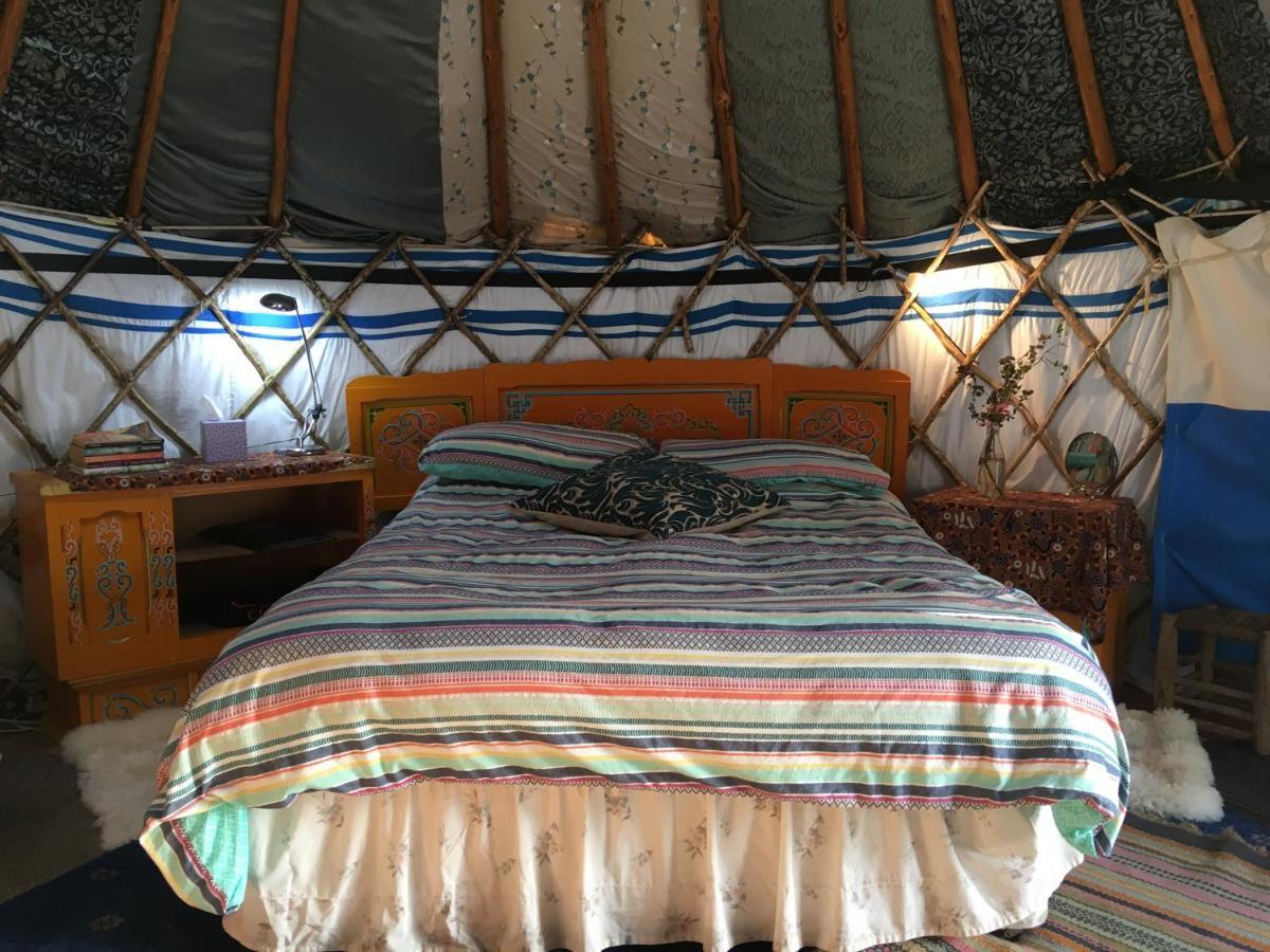Inch Hideaway Eco Camping Whitegate  Kültér fotó