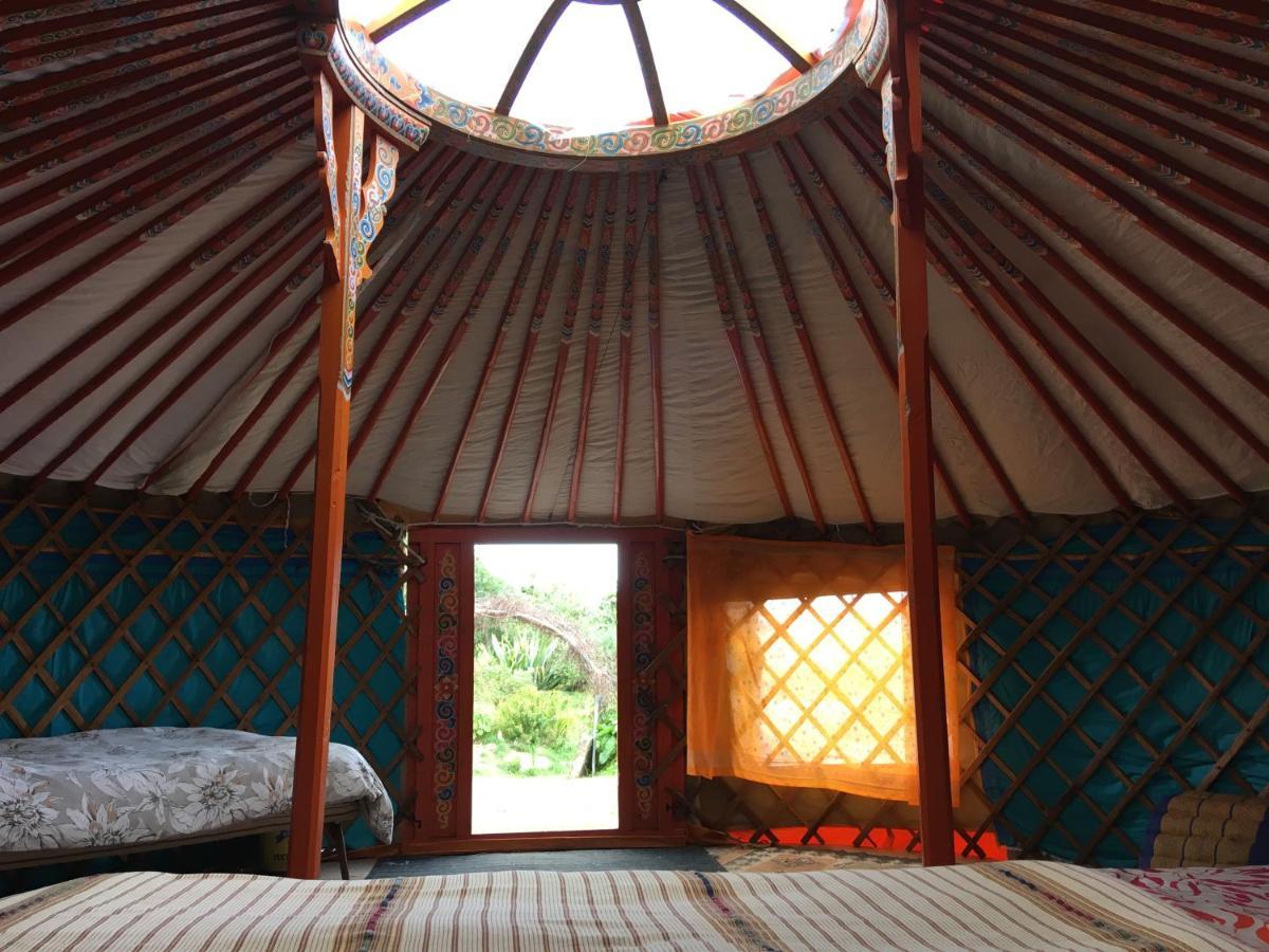 Inch Hideaway Eco Camping Whitegate  Kültér fotó