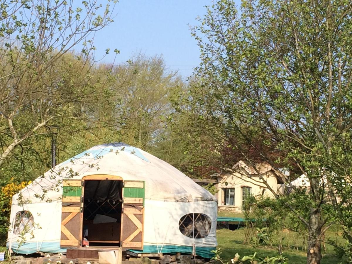 Inch Hideaway Eco Camping Whitegate  Kültér fotó
