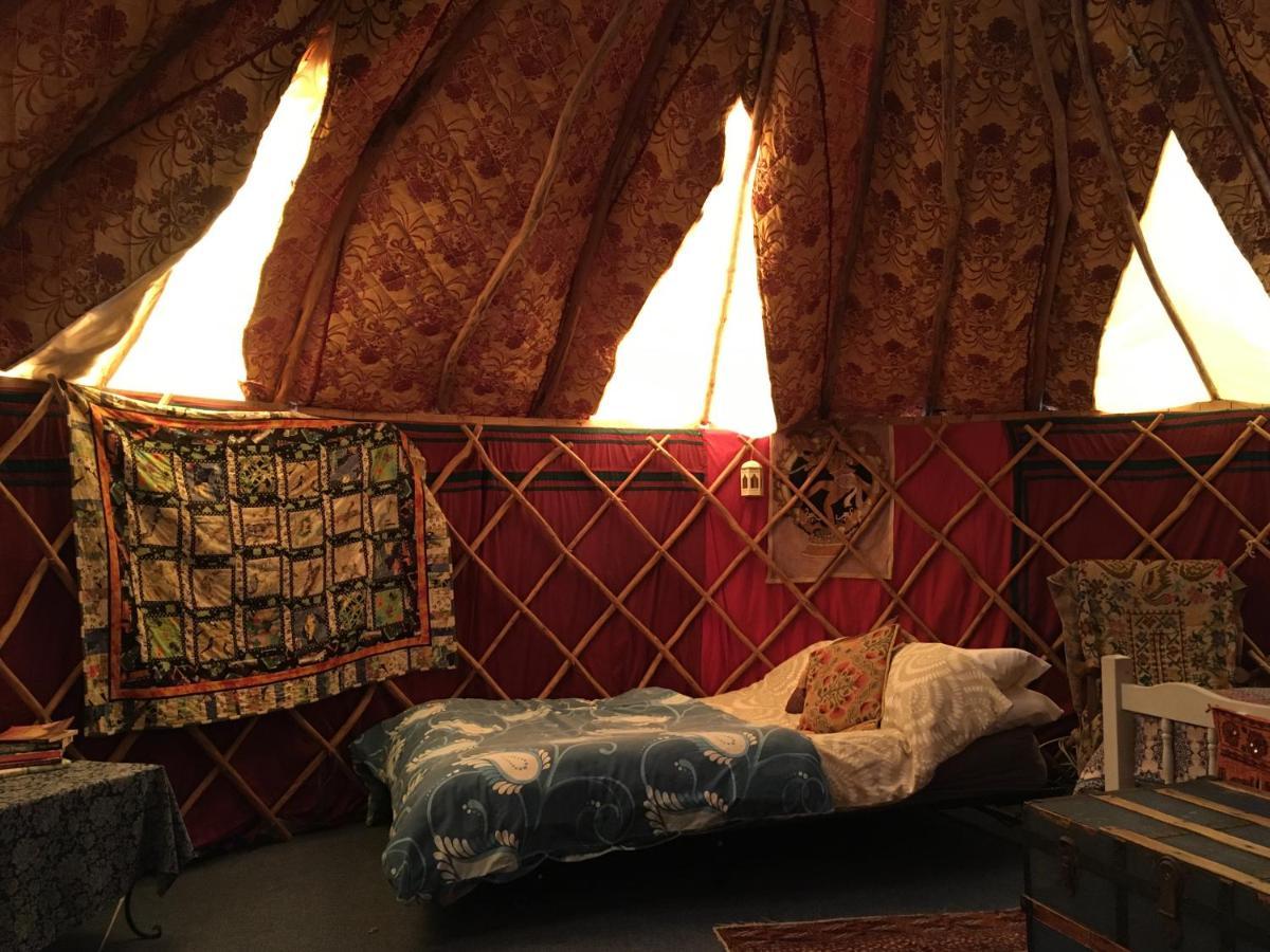 Inch Hideaway Eco Camping Whitegate  Kültér fotó