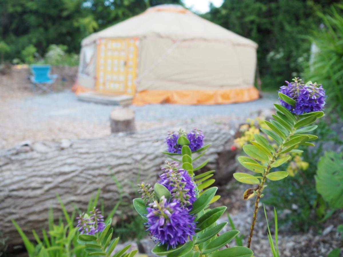 Inch Hideaway Eco Camping Whitegate  Kültér fotó