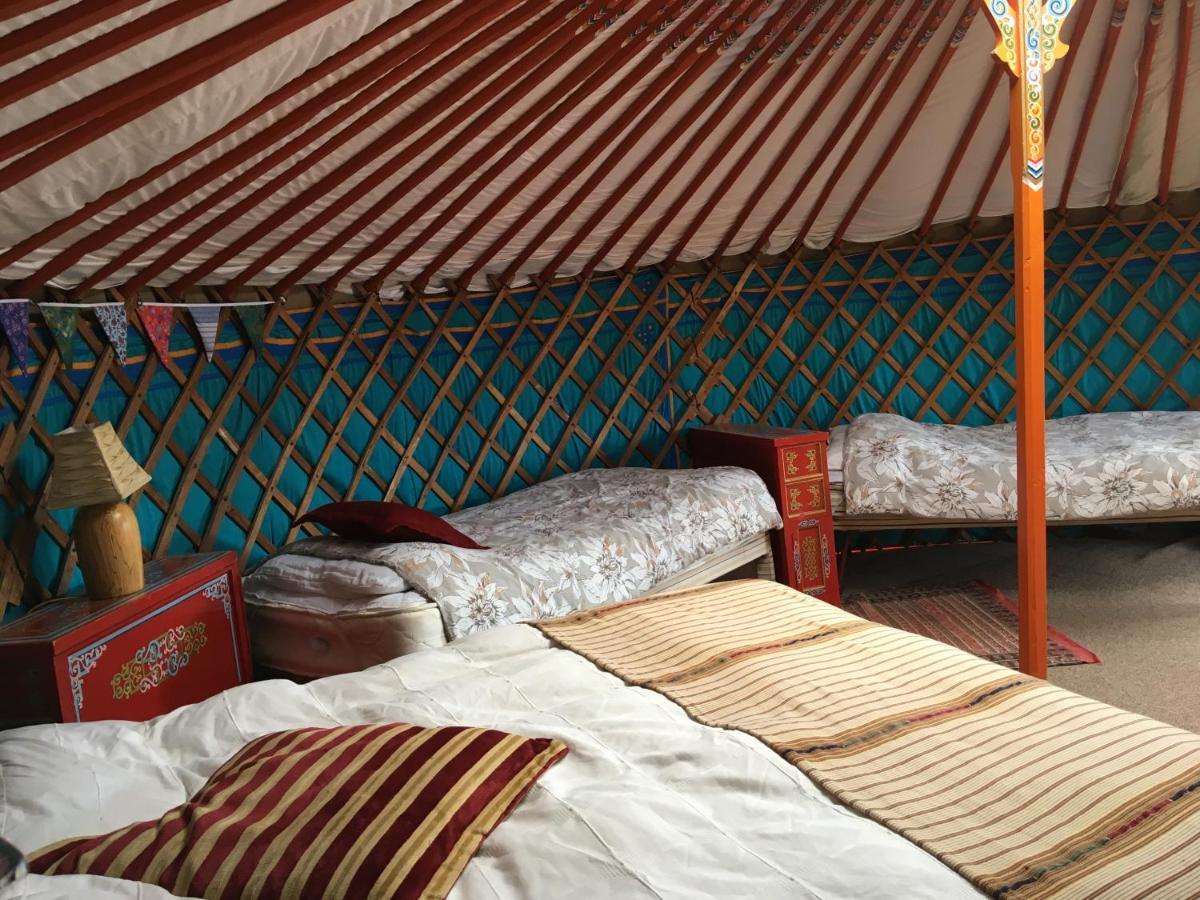 Inch Hideaway Eco Camping Whitegate  Kültér fotó